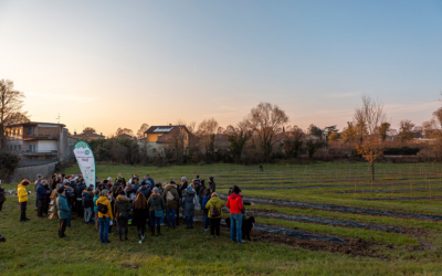 A Padova piantumati gli alberi donati da IRP