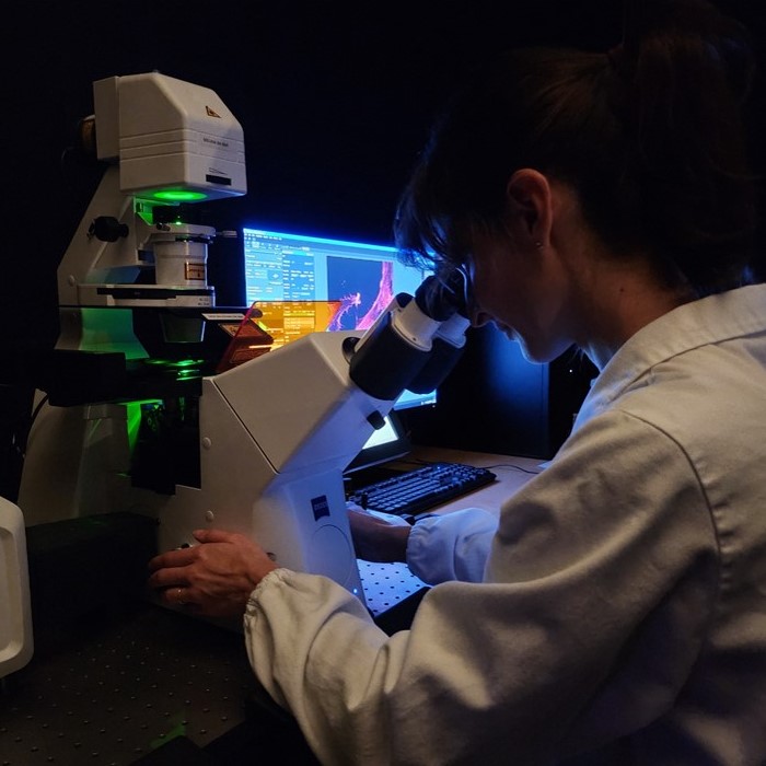 The IRP Imaging Facility is equipped with a series of microscopes